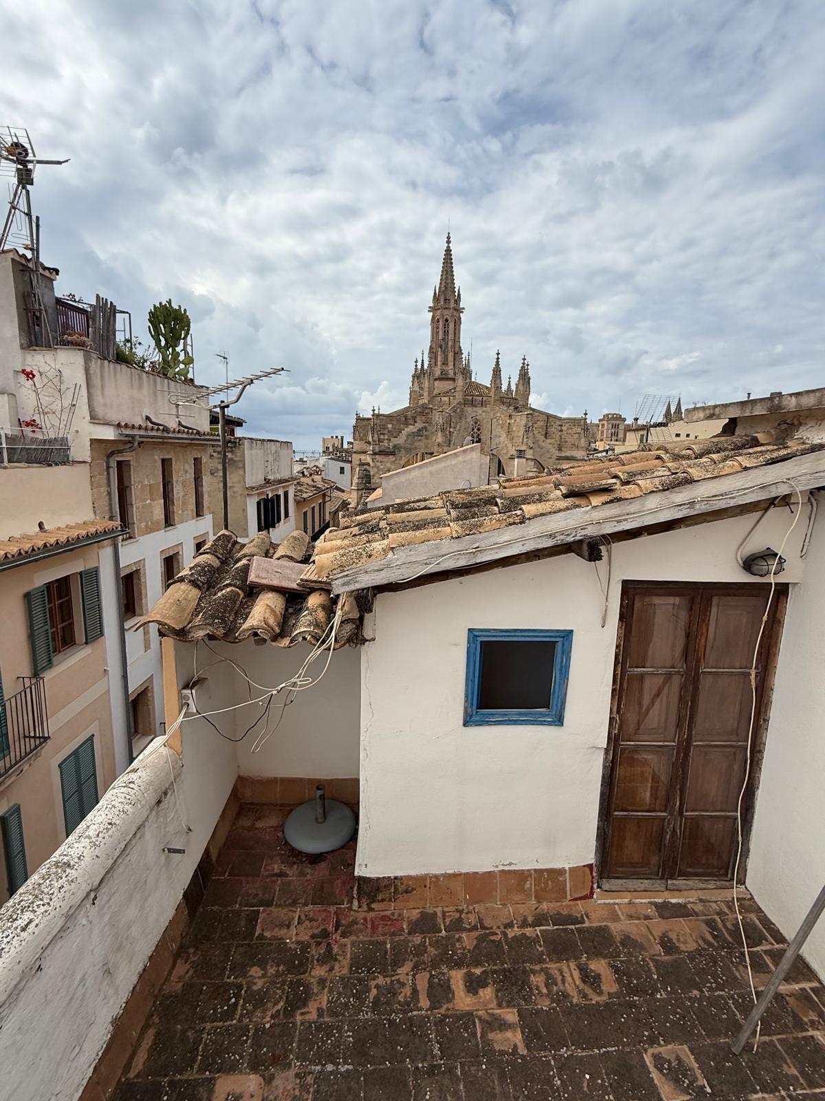 Imagen de galería 1